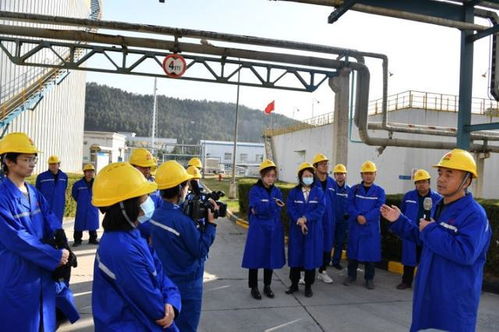 中省市媒体延安生态环境调研采访团到延安炼油厂调研